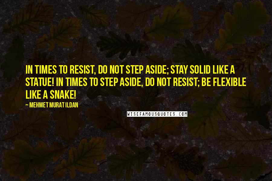 Mehmet Murat Ildan Quotes: In times to resist, do not step aside; stay solid like a statue! In times to step aside, do not resist; be flexible like a snake!