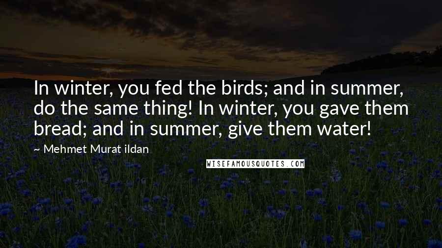 Mehmet Murat Ildan Quotes: In winter, you fed the birds; and in summer, do the same thing! In winter, you gave them bread; and in summer, give them water!
