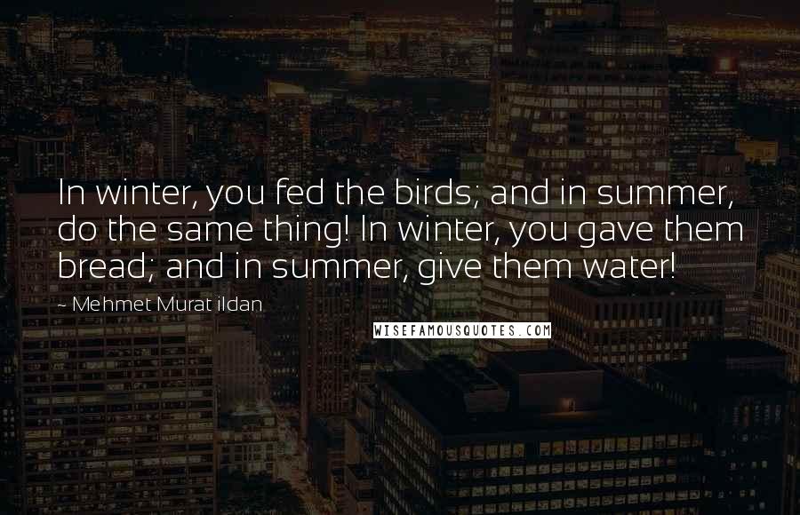 Mehmet Murat Ildan Quotes: In winter, you fed the birds; and in summer, do the same thing! In winter, you gave them bread; and in summer, give them water!