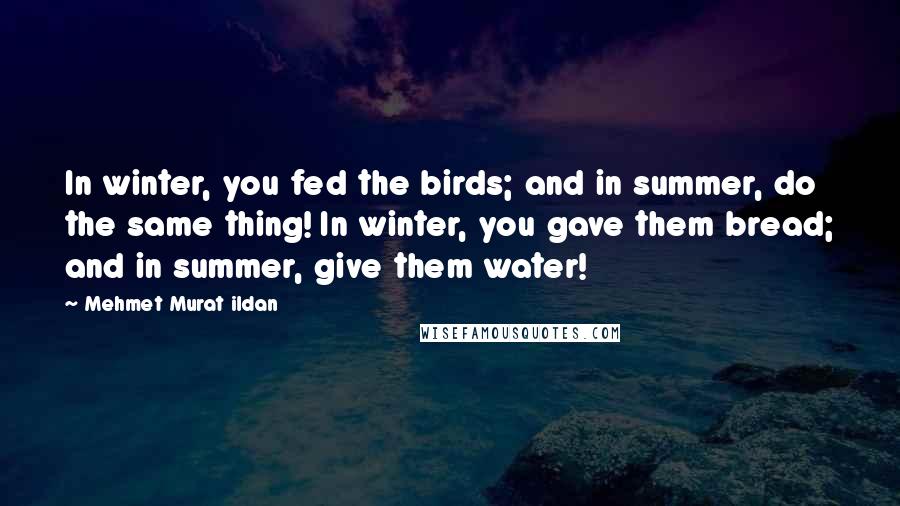 Mehmet Murat Ildan Quotes: In winter, you fed the birds; and in summer, do the same thing! In winter, you gave them bread; and in summer, give them water!