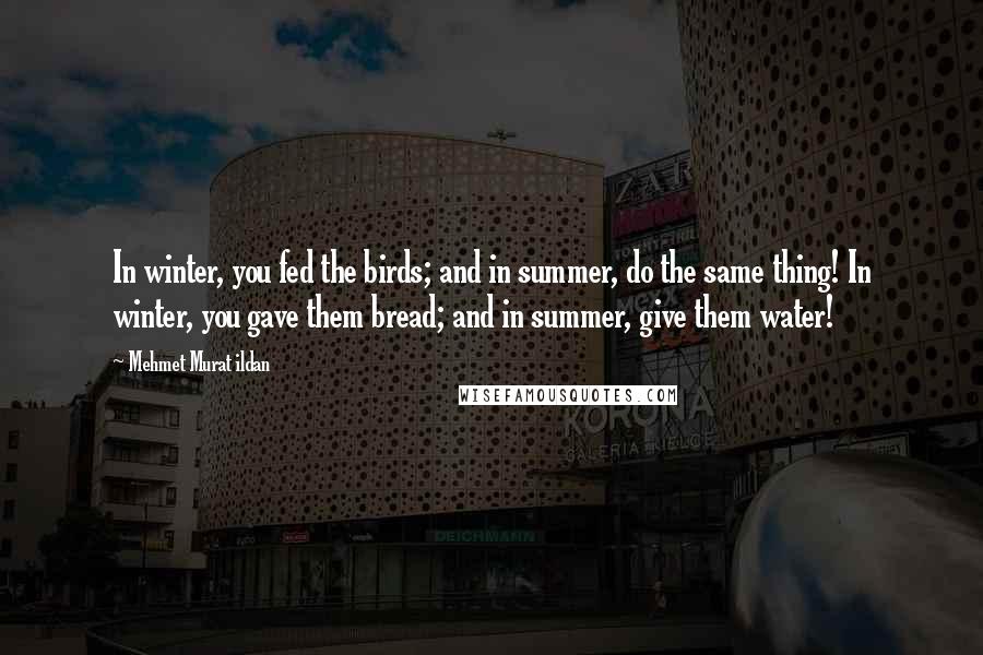 Mehmet Murat Ildan Quotes: In winter, you fed the birds; and in summer, do the same thing! In winter, you gave them bread; and in summer, give them water!