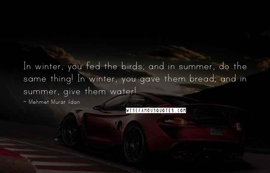 Mehmet Murat Ildan Quotes: In winter, you fed the birds; and in summer, do the same thing! In winter, you gave them bread; and in summer, give them water!