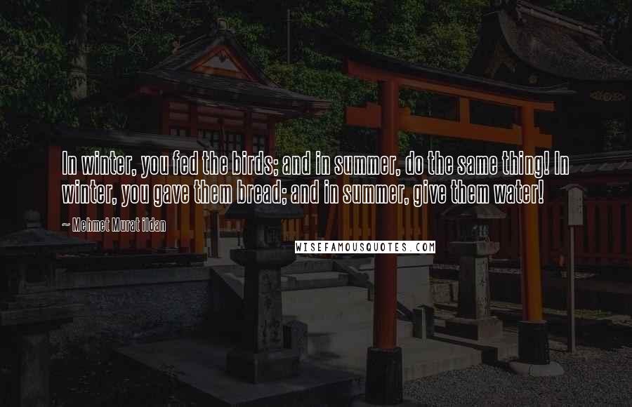 Mehmet Murat Ildan Quotes: In winter, you fed the birds; and in summer, do the same thing! In winter, you gave them bread; and in summer, give them water!
