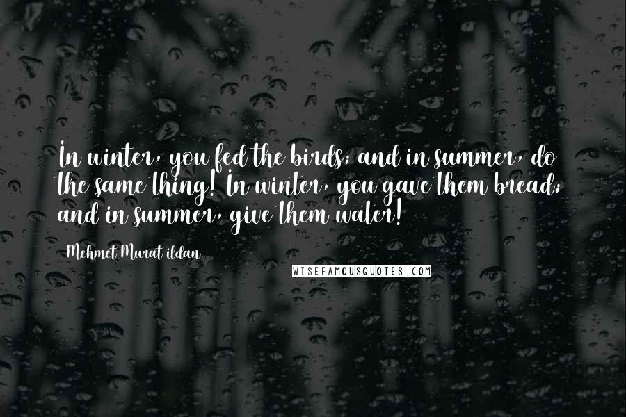 Mehmet Murat Ildan Quotes: In winter, you fed the birds; and in summer, do the same thing! In winter, you gave them bread; and in summer, give them water!