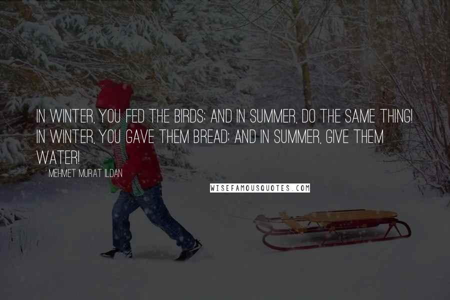 Mehmet Murat Ildan Quotes: In winter, you fed the birds; and in summer, do the same thing! In winter, you gave them bread; and in summer, give them water!