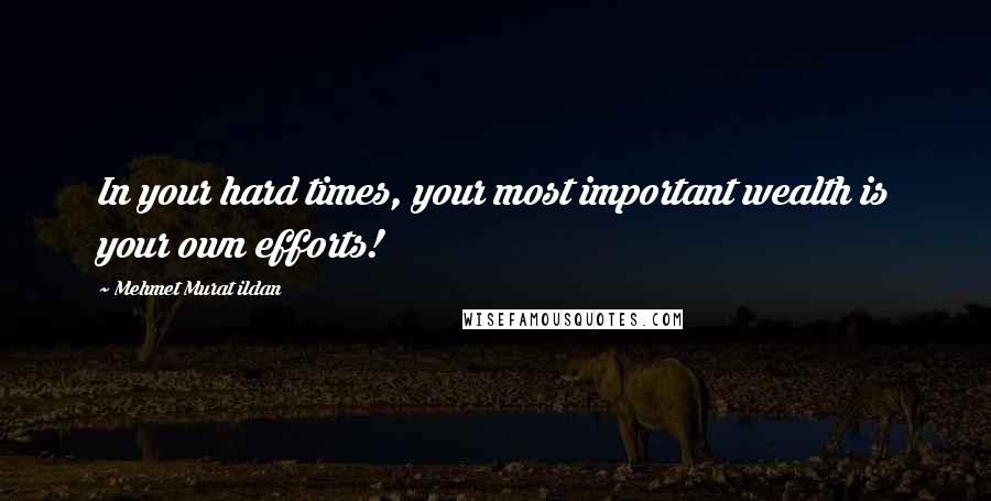 Mehmet Murat Ildan Quotes: In your hard times, your most important wealth is your own efforts!