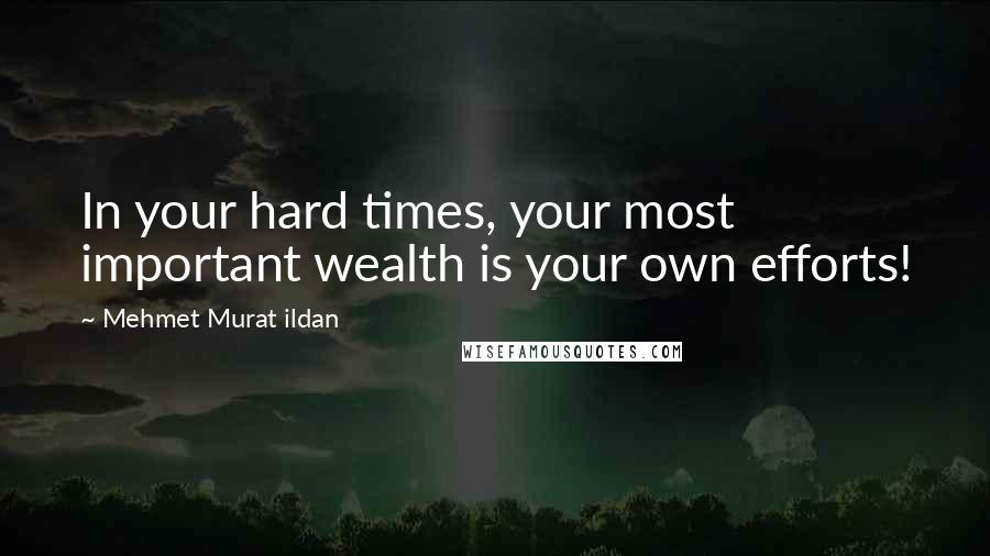 Mehmet Murat Ildan Quotes: In your hard times, your most important wealth is your own efforts!