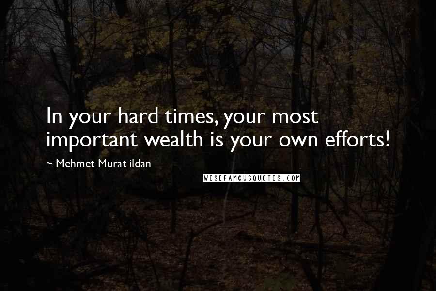 Mehmet Murat Ildan Quotes: In your hard times, your most important wealth is your own efforts!