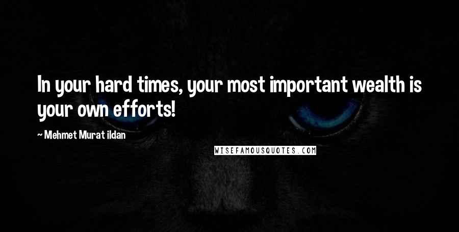 Mehmet Murat Ildan Quotes: In your hard times, your most important wealth is your own efforts!