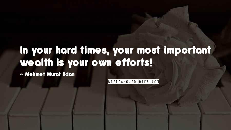 Mehmet Murat Ildan Quotes: In your hard times, your most important wealth is your own efforts!