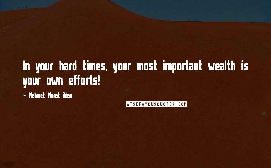 Mehmet Murat Ildan Quotes: In your hard times, your most important wealth is your own efforts!