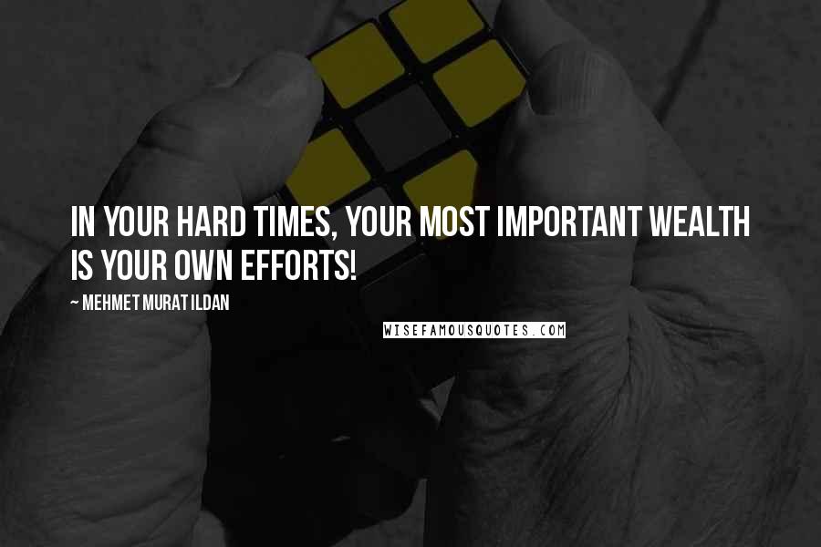 Mehmet Murat Ildan Quotes: In your hard times, your most important wealth is your own efforts!