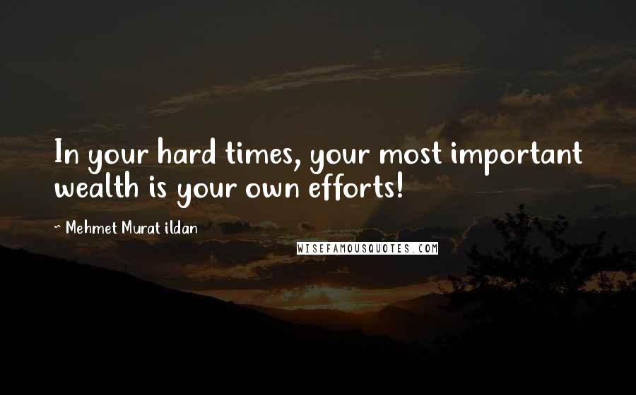 Mehmet Murat Ildan Quotes: In your hard times, your most important wealth is your own efforts!