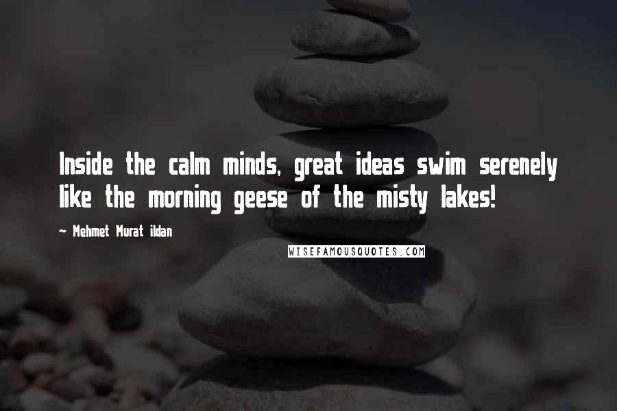 Mehmet Murat Ildan Quotes: Inside the calm minds, great ideas swim serenely like the morning geese of the misty lakes!