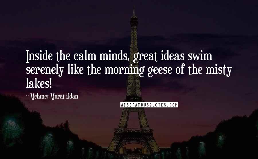 Mehmet Murat Ildan Quotes: Inside the calm minds, great ideas swim serenely like the morning geese of the misty lakes!