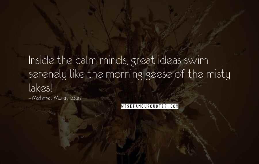 Mehmet Murat Ildan Quotes: Inside the calm minds, great ideas swim serenely like the morning geese of the misty lakes!