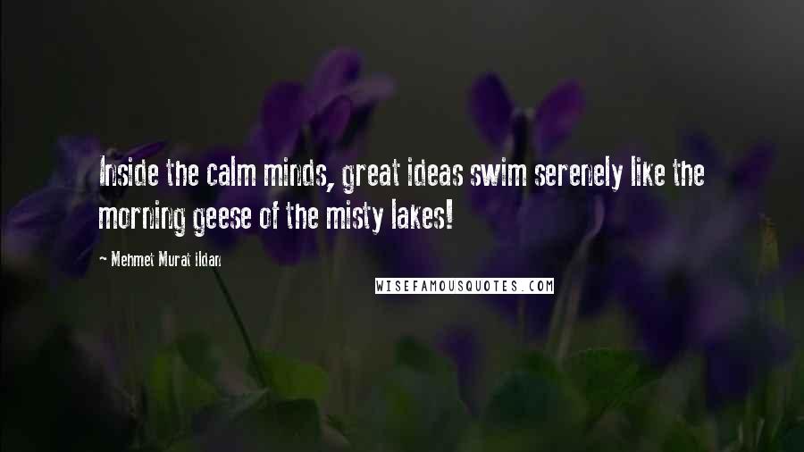 Mehmet Murat Ildan Quotes: Inside the calm minds, great ideas swim serenely like the morning geese of the misty lakes!