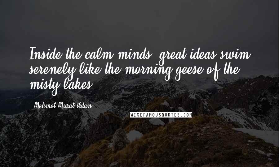 Mehmet Murat Ildan Quotes: Inside the calm minds, great ideas swim serenely like the morning geese of the misty lakes!