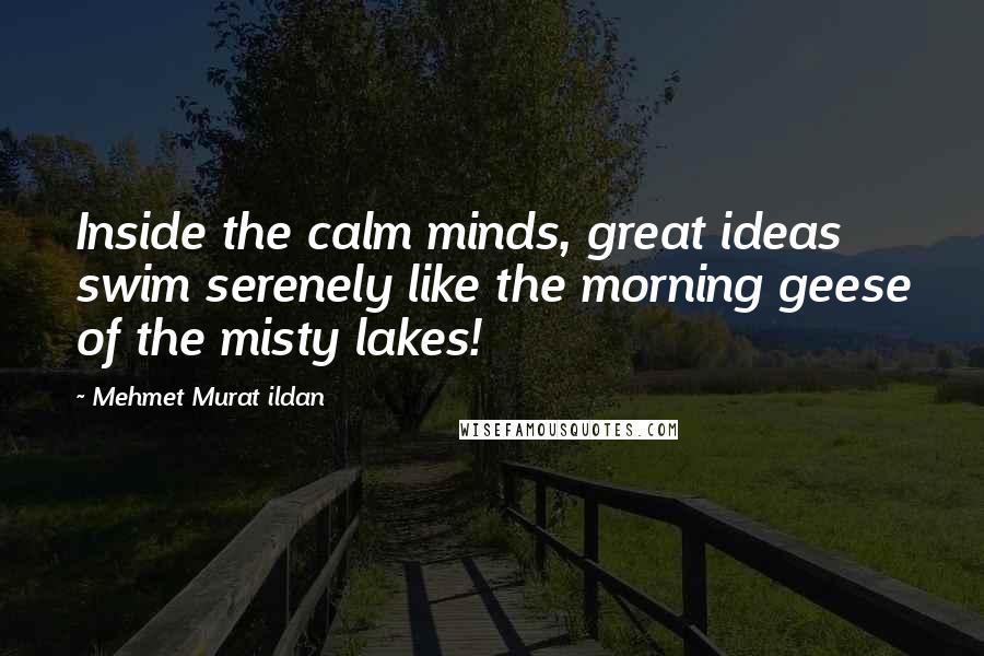 Mehmet Murat Ildan Quotes: Inside the calm minds, great ideas swim serenely like the morning geese of the misty lakes!