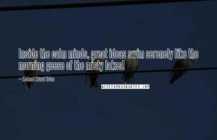 Mehmet Murat Ildan Quotes: Inside the calm minds, great ideas swim serenely like the morning geese of the misty lakes!