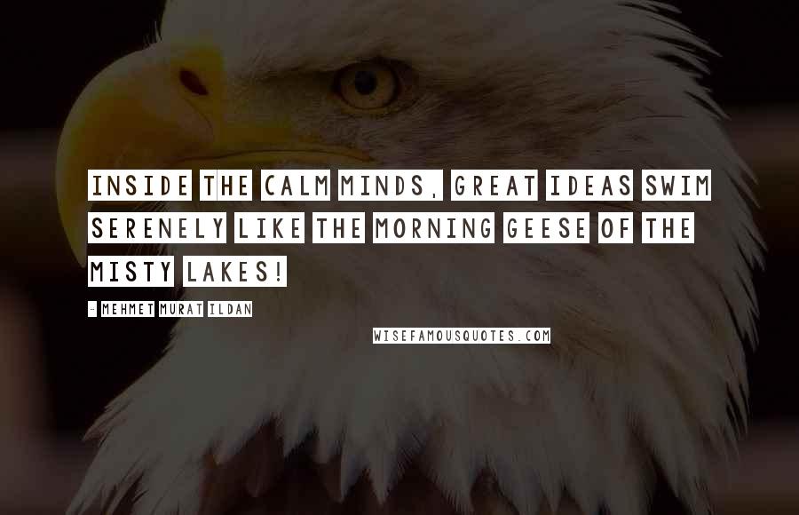 Mehmet Murat Ildan Quotes: Inside the calm minds, great ideas swim serenely like the morning geese of the misty lakes!