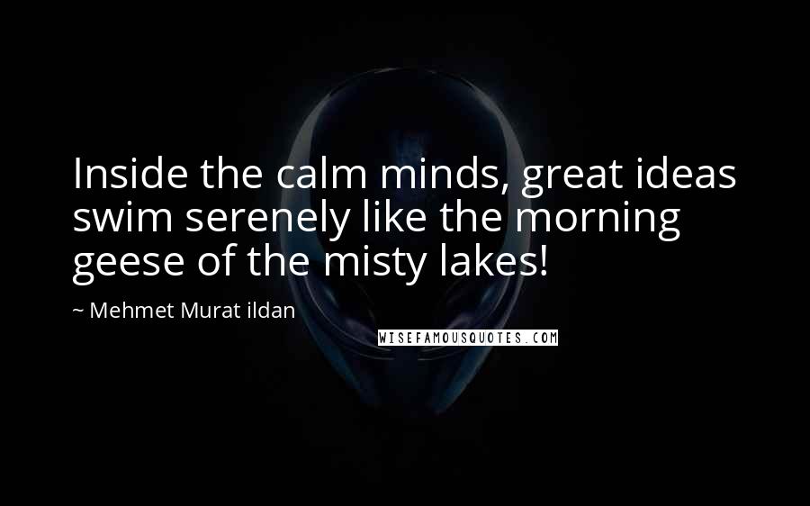 Mehmet Murat Ildan Quotes: Inside the calm minds, great ideas swim serenely like the morning geese of the misty lakes!