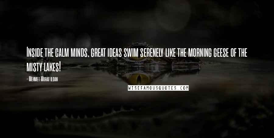 Mehmet Murat Ildan Quotes: Inside the calm minds, great ideas swim serenely like the morning geese of the misty lakes!