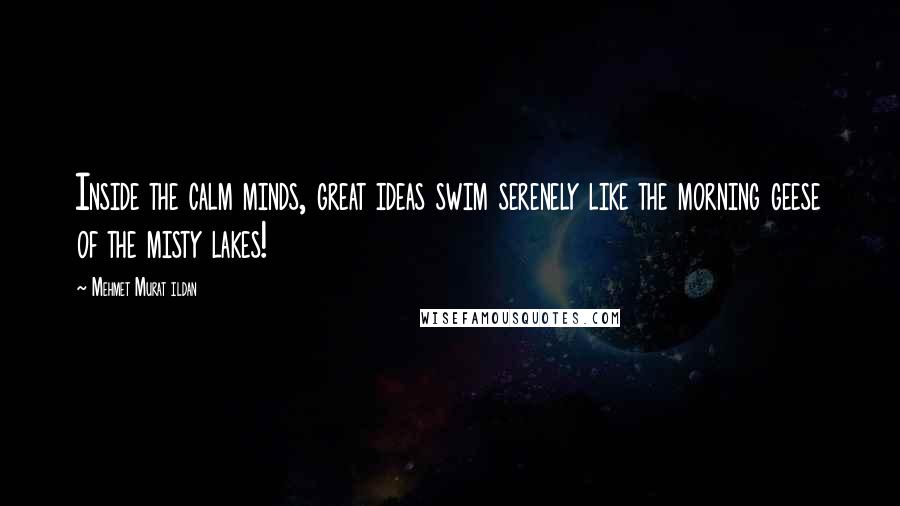 Mehmet Murat Ildan Quotes: Inside the calm minds, great ideas swim serenely like the morning geese of the misty lakes!