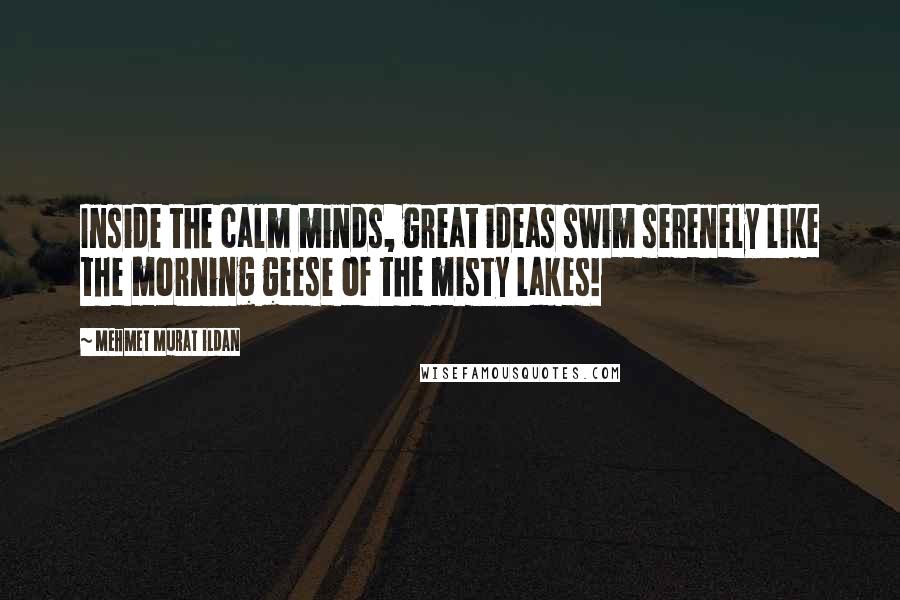Mehmet Murat Ildan Quotes: Inside the calm minds, great ideas swim serenely like the morning geese of the misty lakes!