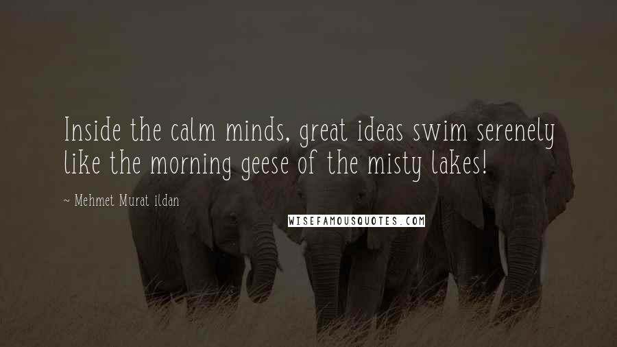 Mehmet Murat Ildan Quotes: Inside the calm minds, great ideas swim serenely like the morning geese of the misty lakes!