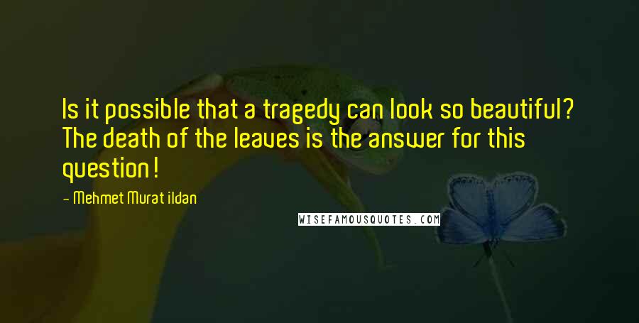 Mehmet Murat Ildan Quotes: Is it possible that a tragedy can look so beautiful? The death of the leaves is the answer for this question!