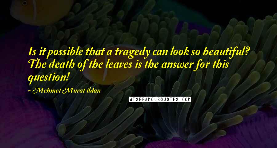 Mehmet Murat Ildan Quotes: Is it possible that a tragedy can look so beautiful? The death of the leaves is the answer for this question!