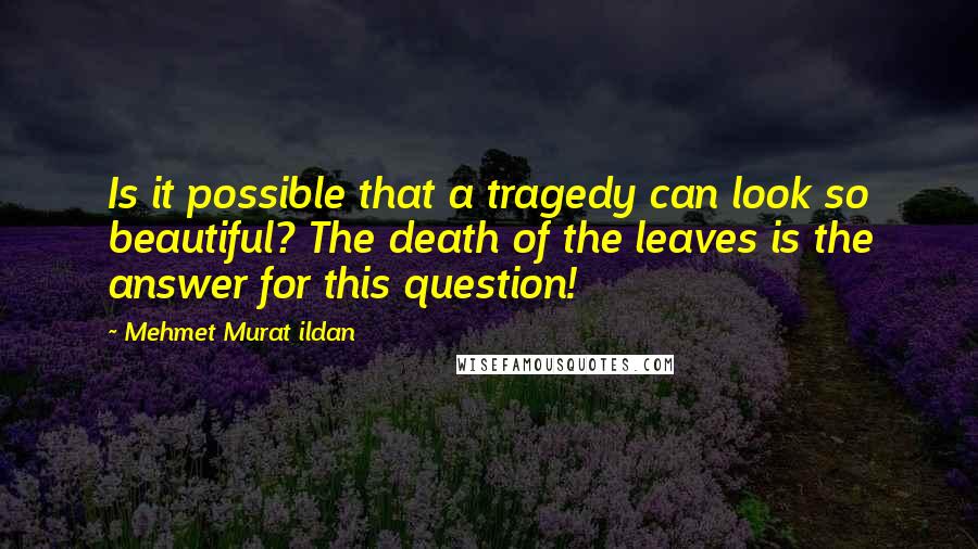 Mehmet Murat Ildan Quotes: Is it possible that a tragedy can look so beautiful? The death of the leaves is the answer for this question!