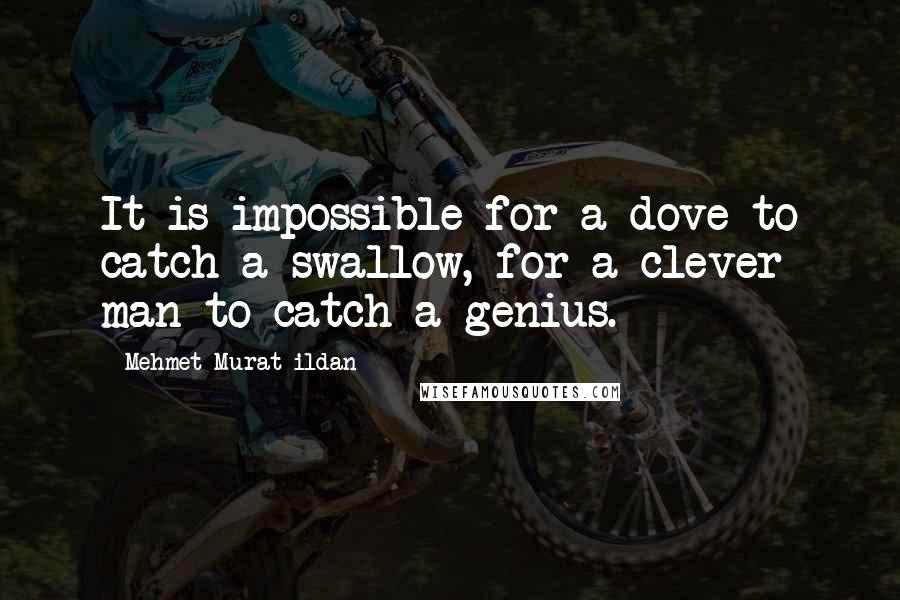 Mehmet Murat Ildan Quotes: It is impossible for a dove to catch a swallow, for a clever man to catch a genius.