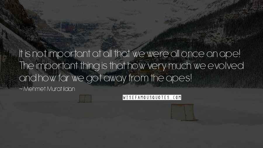 Mehmet Murat Ildan Quotes: It is not important at all that we were all once an ape! The important thing is that how very much we evolved and how far we got away from the apes!