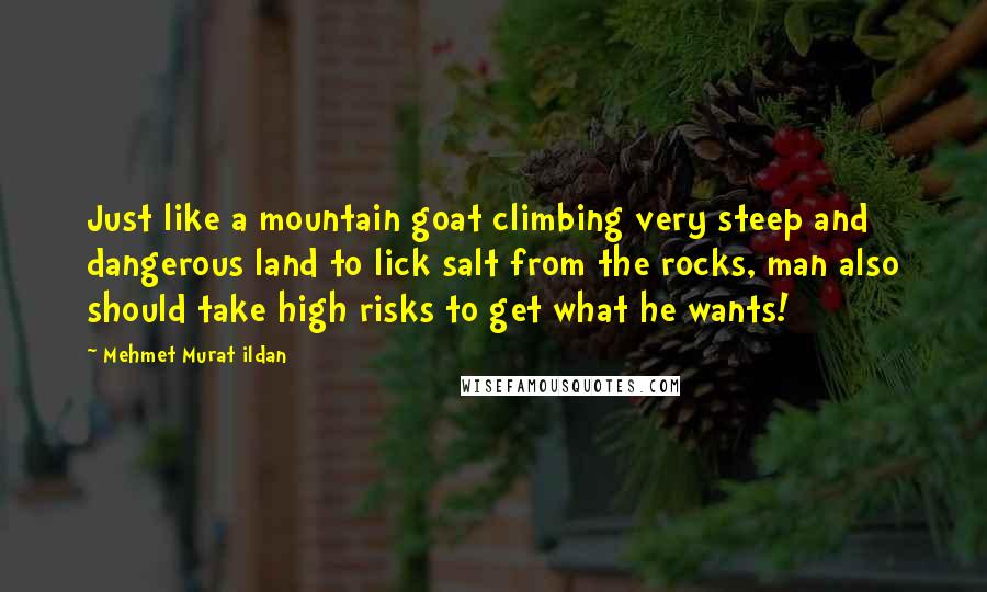 Mehmet Murat Ildan Quotes: Just like a mountain goat climbing very steep and dangerous land to lick salt from the rocks, man also should take high risks to get what he wants!