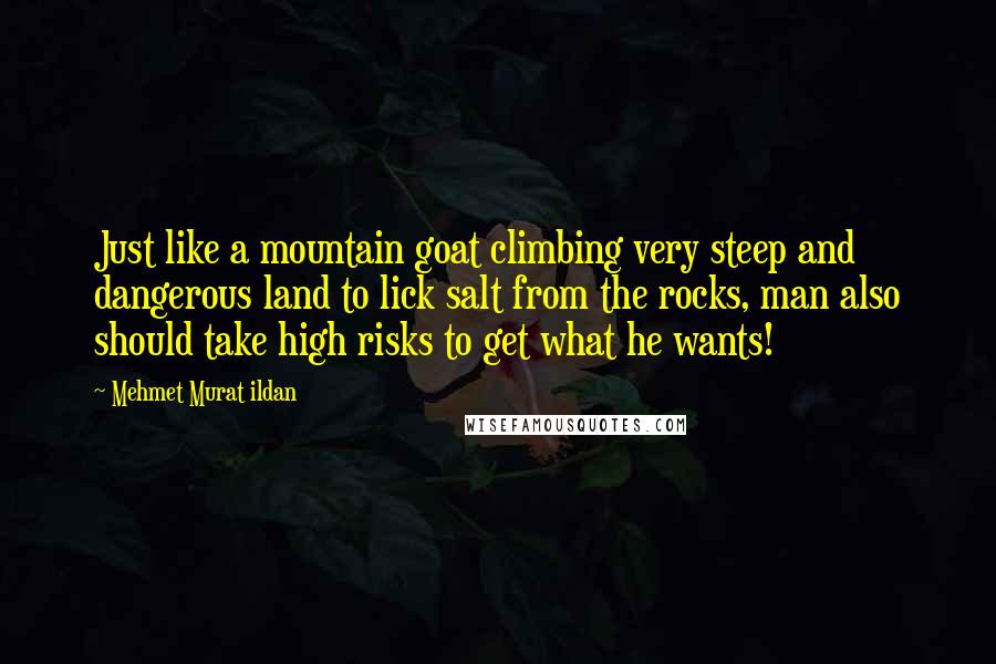 Mehmet Murat Ildan Quotes: Just like a mountain goat climbing very steep and dangerous land to lick salt from the rocks, man also should take high risks to get what he wants!