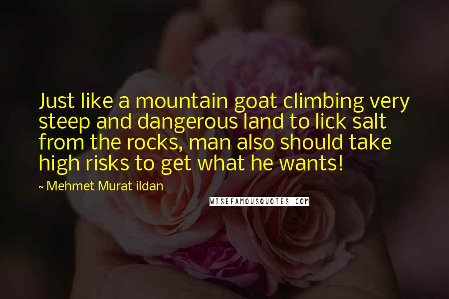 Mehmet Murat Ildan Quotes: Just like a mountain goat climbing very steep and dangerous land to lick salt from the rocks, man also should take high risks to get what he wants!