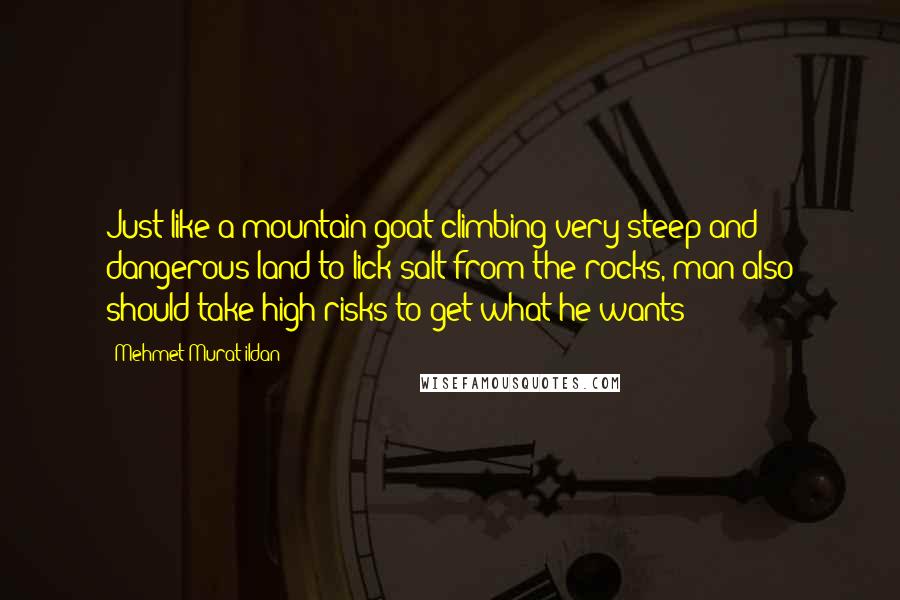 Mehmet Murat Ildan Quotes: Just like a mountain goat climbing very steep and dangerous land to lick salt from the rocks, man also should take high risks to get what he wants!