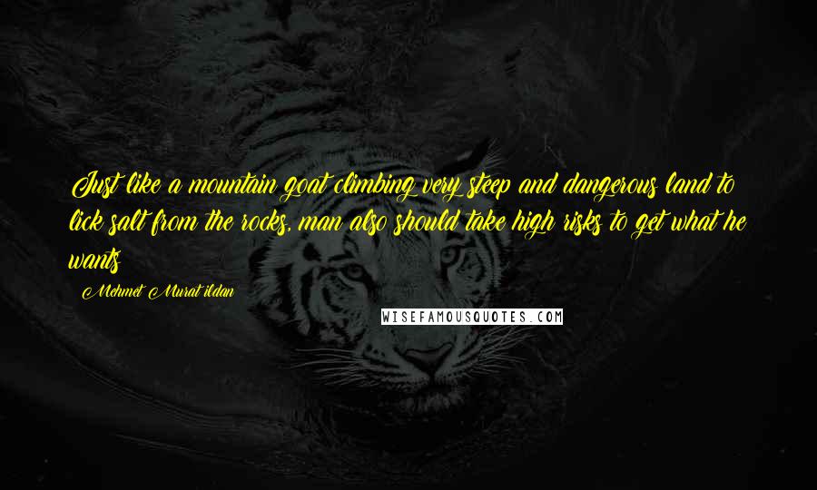 Mehmet Murat Ildan Quotes: Just like a mountain goat climbing very steep and dangerous land to lick salt from the rocks, man also should take high risks to get what he wants!