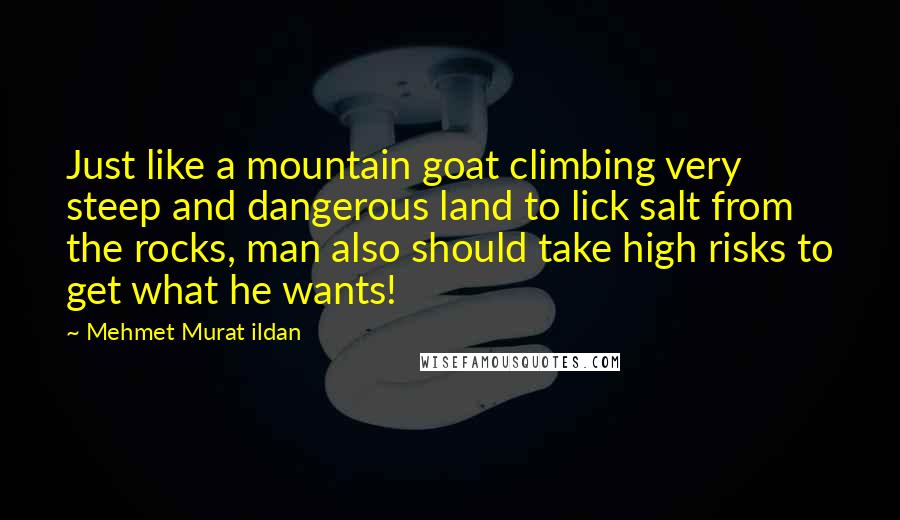 Mehmet Murat Ildan Quotes: Just like a mountain goat climbing very steep and dangerous land to lick salt from the rocks, man also should take high risks to get what he wants!