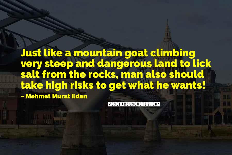 Mehmet Murat Ildan Quotes: Just like a mountain goat climbing very steep and dangerous land to lick salt from the rocks, man also should take high risks to get what he wants!