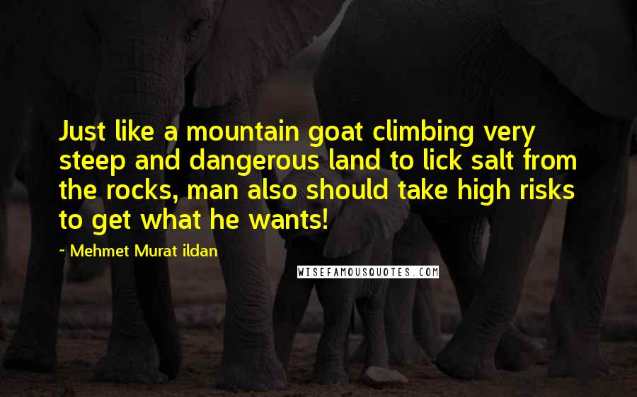 Mehmet Murat Ildan Quotes: Just like a mountain goat climbing very steep and dangerous land to lick salt from the rocks, man also should take high risks to get what he wants!