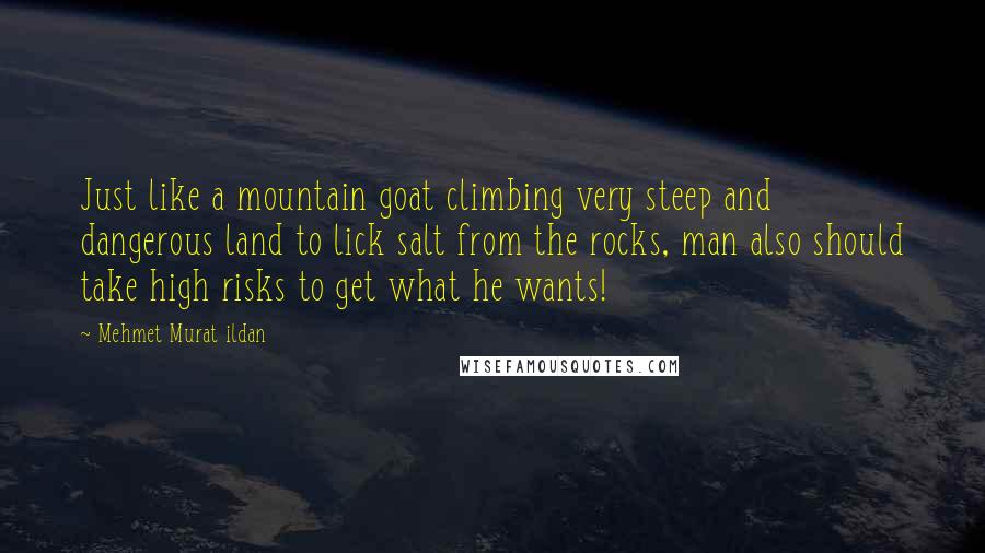 Mehmet Murat Ildan Quotes: Just like a mountain goat climbing very steep and dangerous land to lick salt from the rocks, man also should take high risks to get what he wants!