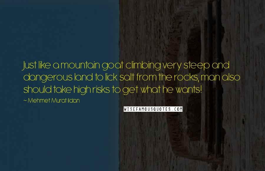 Mehmet Murat Ildan Quotes: Just like a mountain goat climbing very steep and dangerous land to lick salt from the rocks, man also should take high risks to get what he wants!