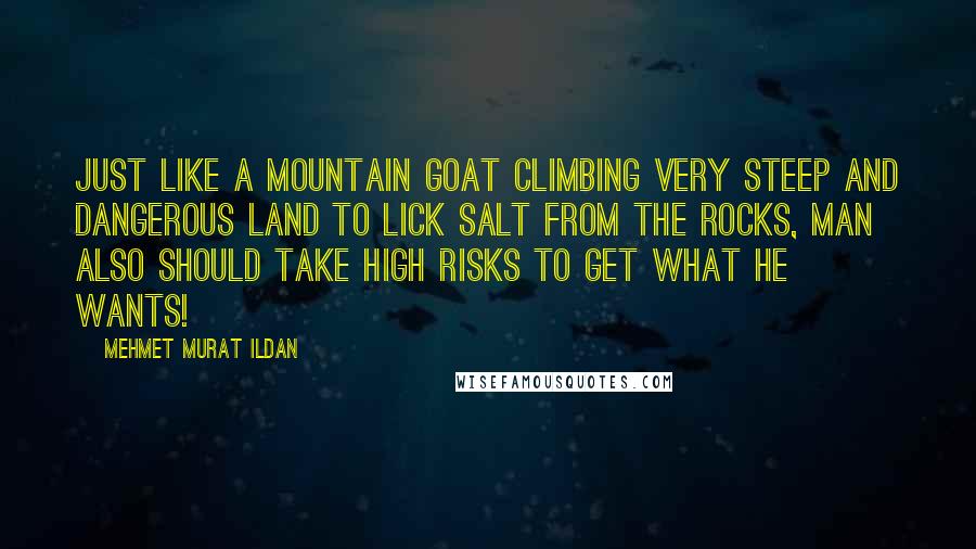 Mehmet Murat Ildan Quotes: Just like a mountain goat climbing very steep and dangerous land to lick salt from the rocks, man also should take high risks to get what he wants!