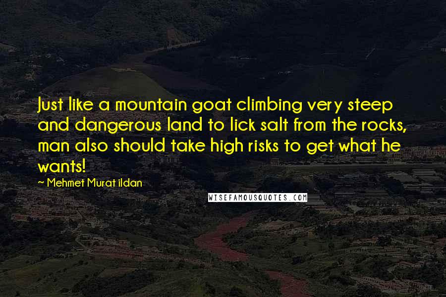 Mehmet Murat Ildan Quotes: Just like a mountain goat climbing very steep and dangerous land to lick salt from the rocks, man also should take high risks to get what he wants!