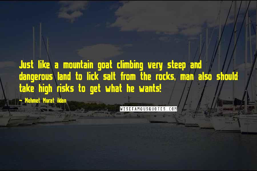 Mehmet Murat Ildan Quotes: Just like a mountain goat climbing very steep and dangerous land to lick salt from the rocks, man also should take high risks to get what he wants!