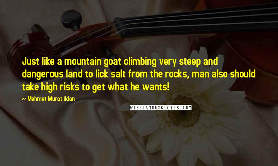 Mehmet Murat Ildan Quotes: Just like a mountain goat climbing very steep and dangerous land to lick salt from the rocks, man also should take high risks to get what he wants!