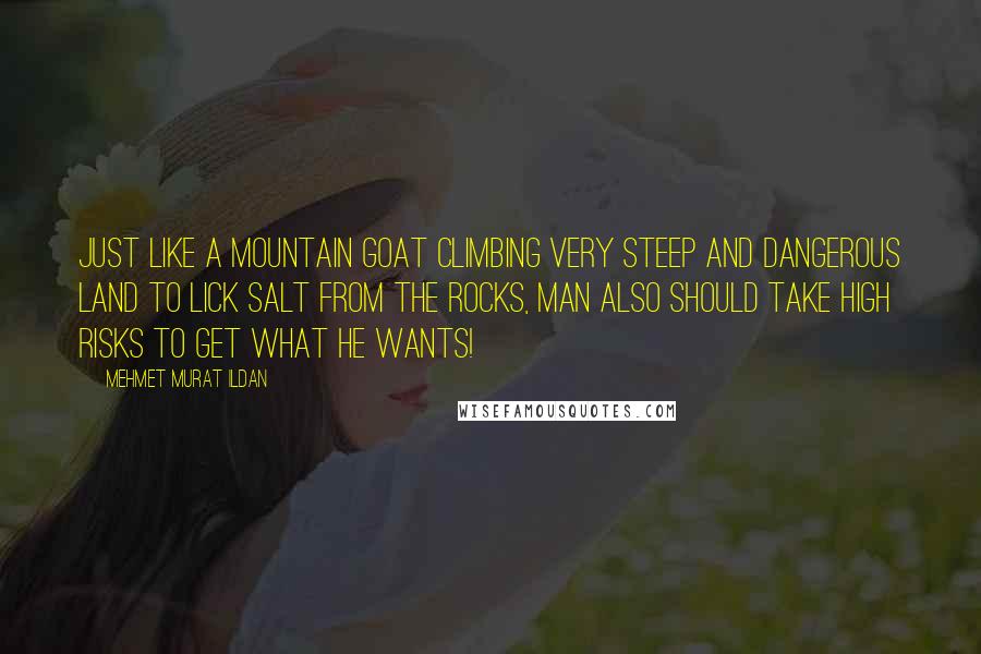 Mehmet Murat Ildan Quotes: Just like a mountain goat climbing very steep and dangerous land to lick salt from the rocks, man also should take high risks to get what he wants!